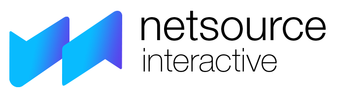 NETSOURCE INTERACTIVE INC logo