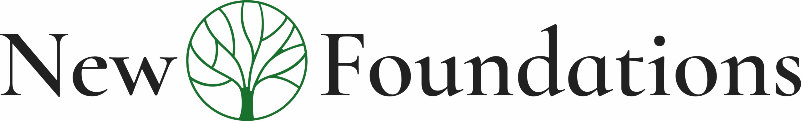 NEW FOUNDATIONS logo