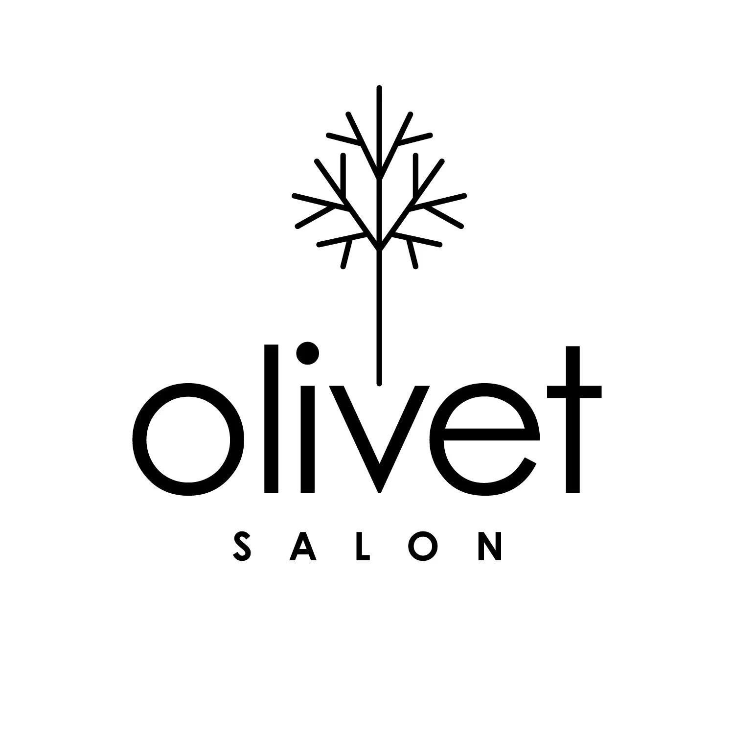 OLIVET LLC logo