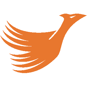 PHOENIX DATAWORKS LLC logo