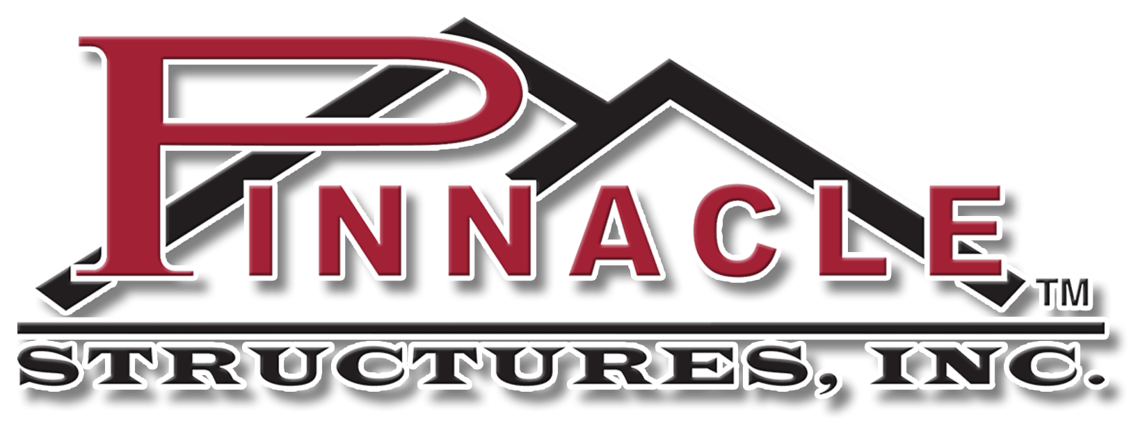 PINNACLE STRUCTURES INC logo