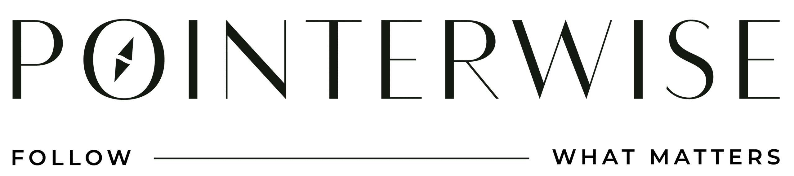 POINTERWISE, LLC logo