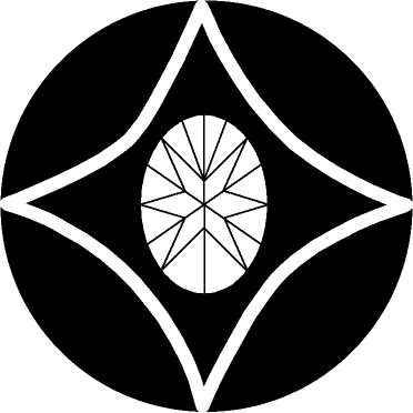 SECURE APPS LLC logo