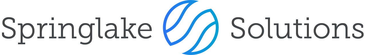 SPRINGLAKE SOLUTIONS LLC logo