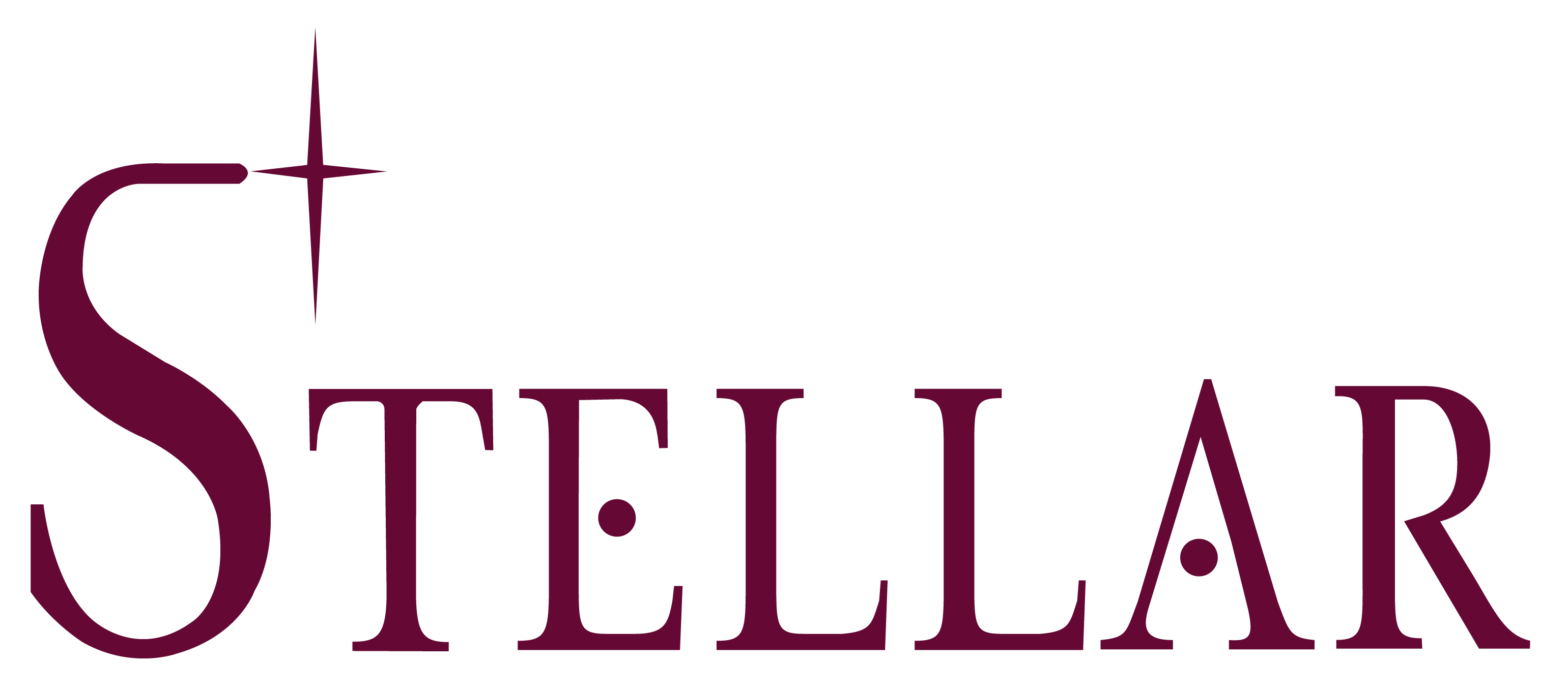 STELLAR SERVICES logo