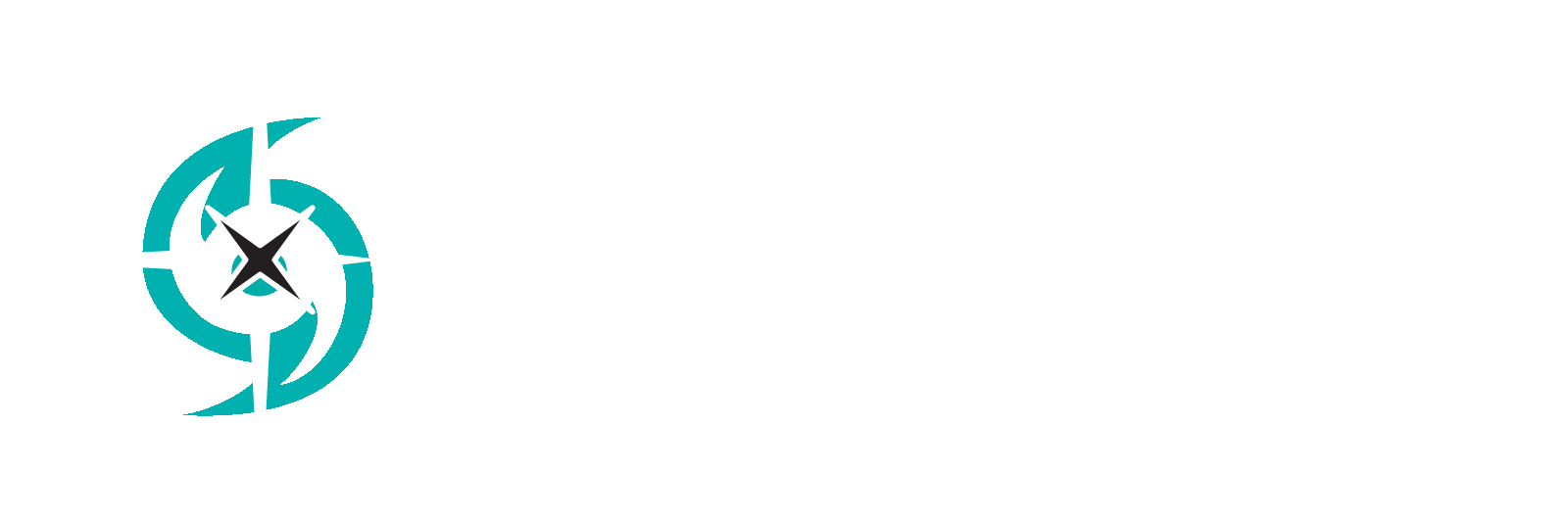 STORM SERVICES ENGINEERING LLC logo