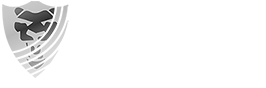 SUPREME SHIELD CORP logo
