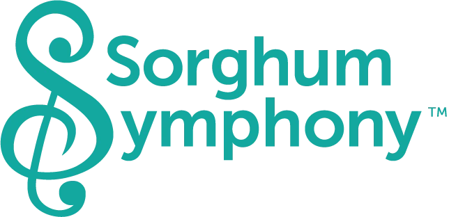 SYMPHONY SNACKS logo