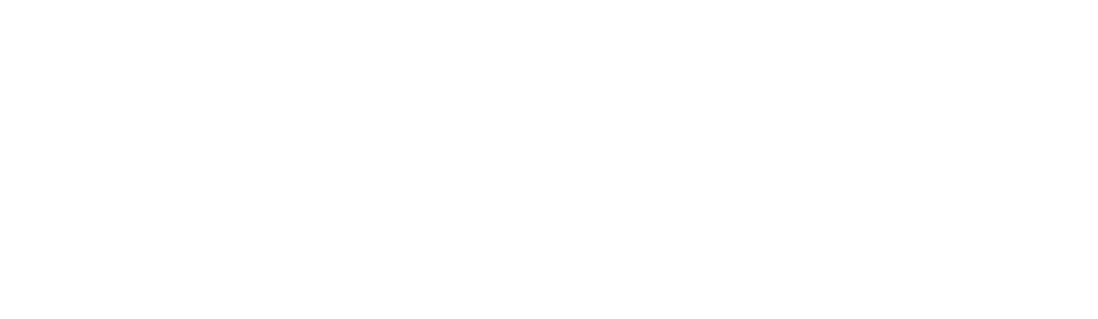 VALEX logo