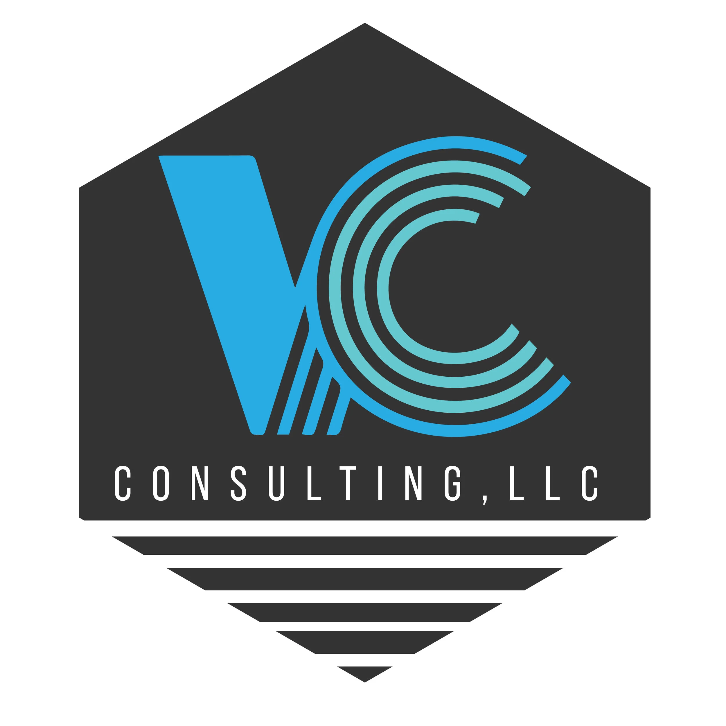 VC CONSULTING logo