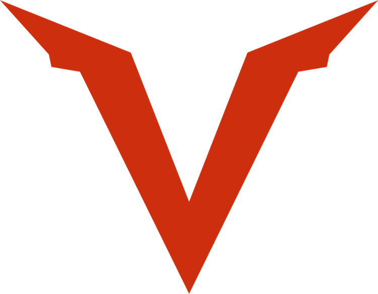 VERACITY SOLUTIONS LLC logo