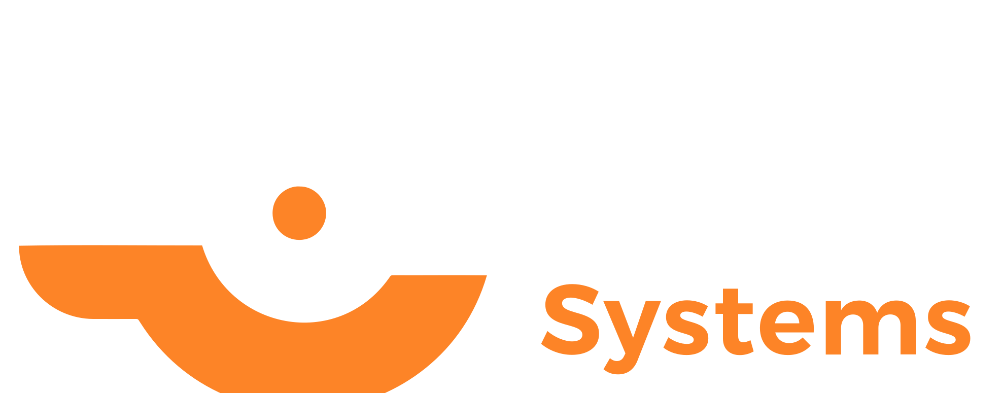 VISION DETECTION SYSTEMS LLC logo