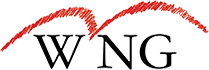 WIRELESS NETWORK GROUP INC logo