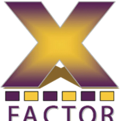 X-FACTOR SOLUTIONS LLC logo